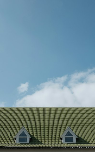 Eco-Friendly Roofing Options